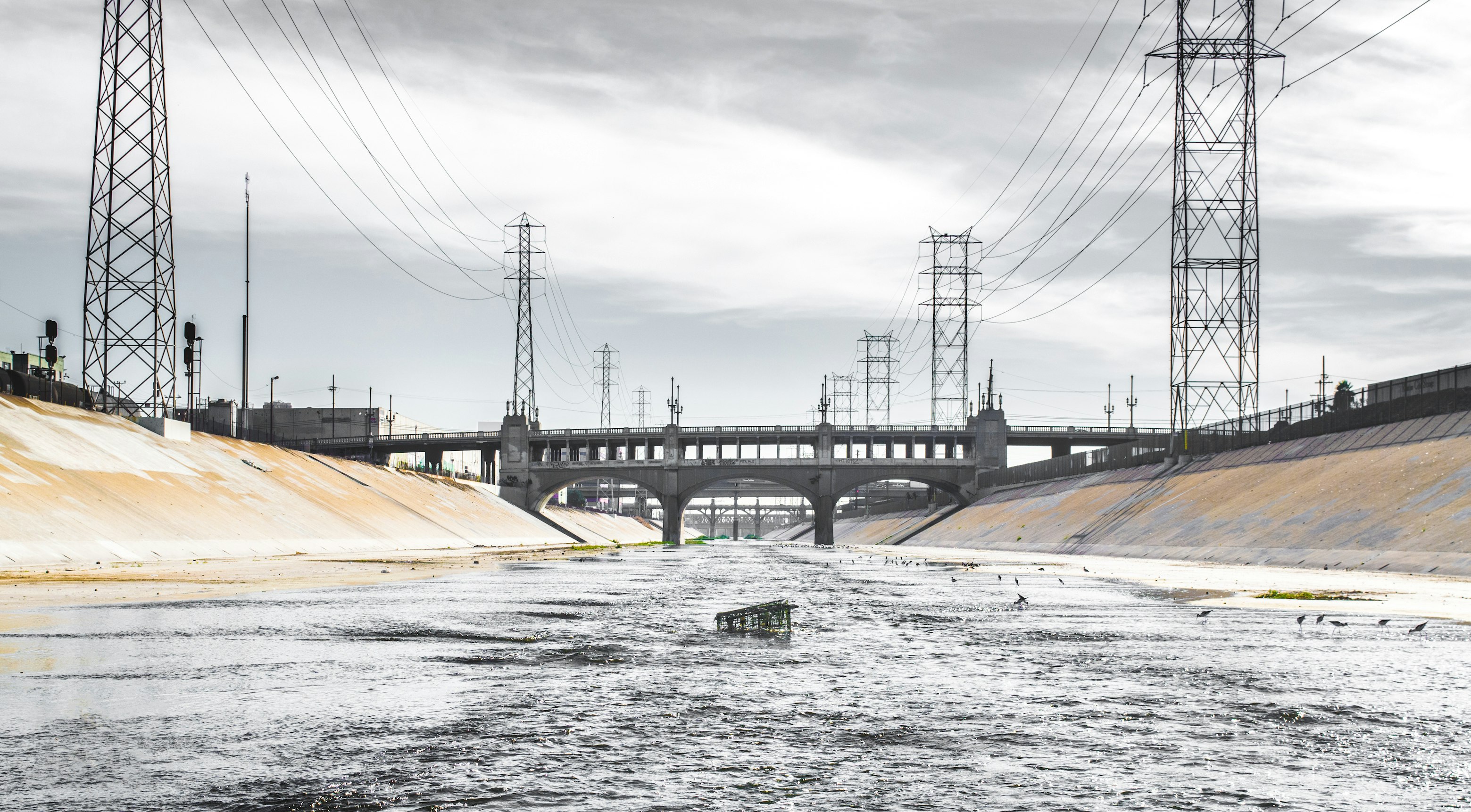 architectural photography of bridge